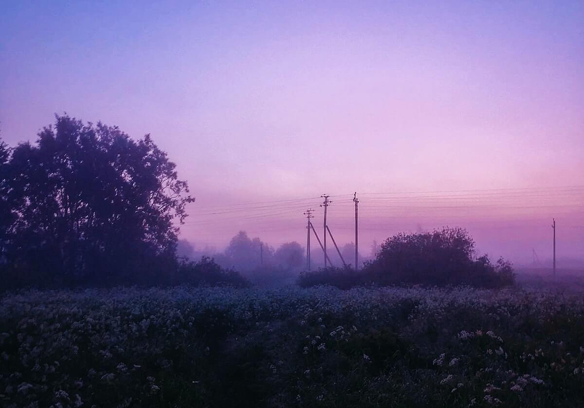开云体育官网-爱德华兹因伤缺席 森林狼客场102-92击败凯尔特人